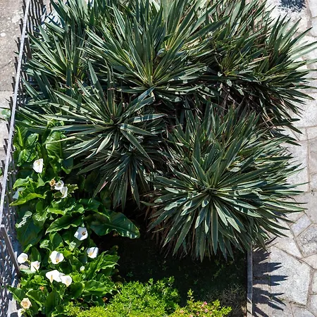 Residenza San Michele Appartement