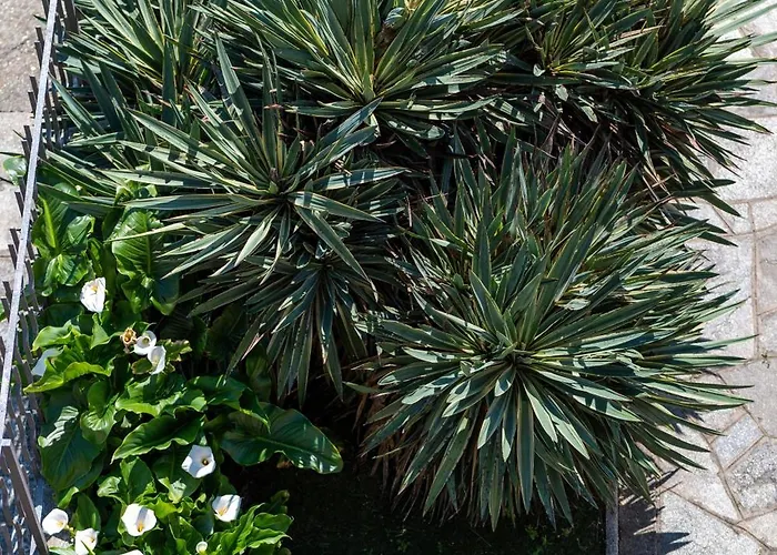 Residenza San Michele Apartmán